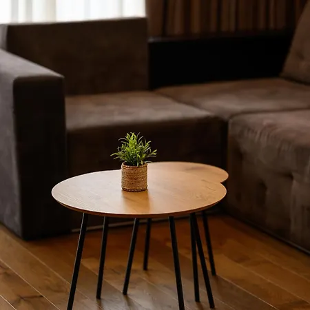 Luxury Babyak Apartment