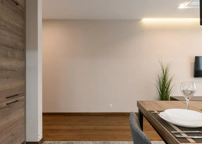 Apartament Luxury Babyak *